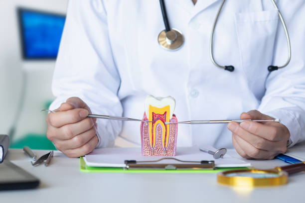 Best Emergency Root Canal Therapy in Brookhaven, WV
